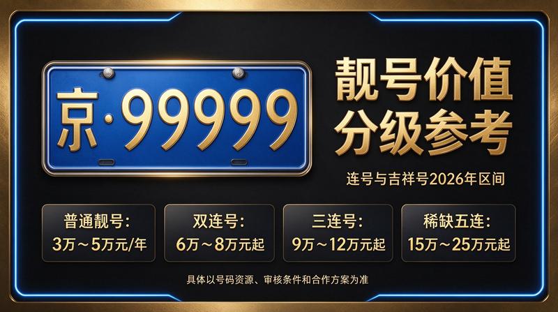 闲置车牌指标业务流程展示图